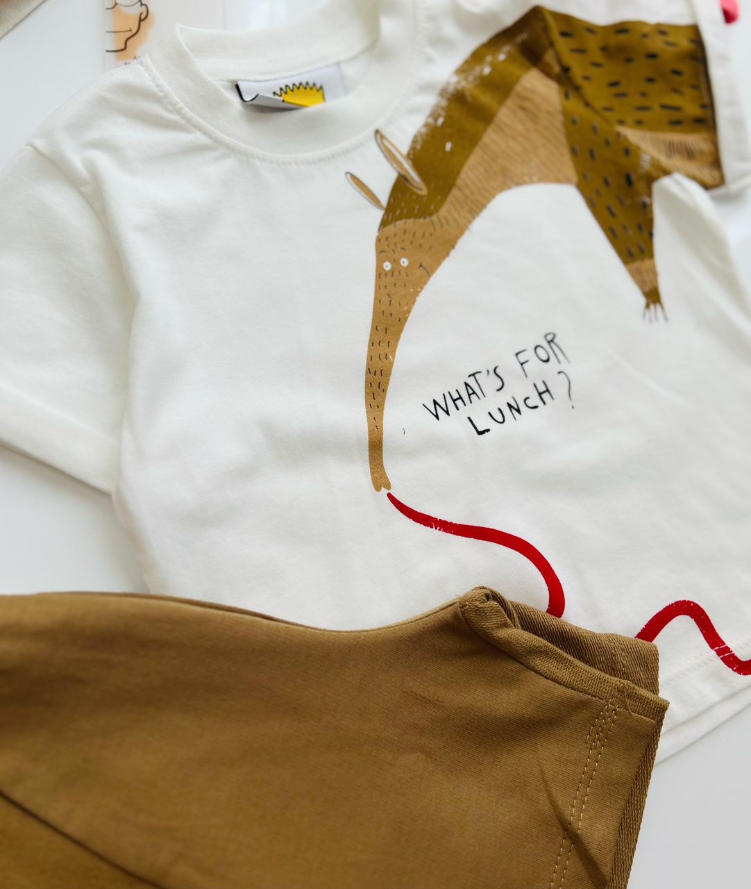 WhatsApp Image 2025-06-03 at 02.30.37 (1)